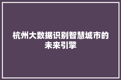 杭州大数据识别智慧城市的未来引擎