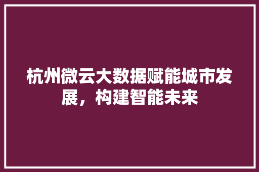 杭州微云大数据赋能城市发展，构建智能未来