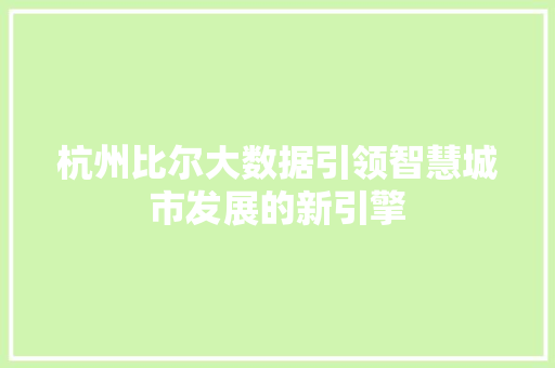 杭州比尔大数据引领智慧城市发展的新引擎