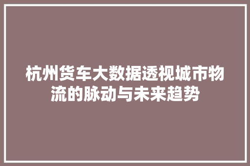 杭州货车大数据透视城市物流的脉动与未来趋势