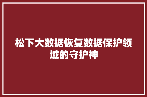 松下大数据恢复数据保护领域的守护神
