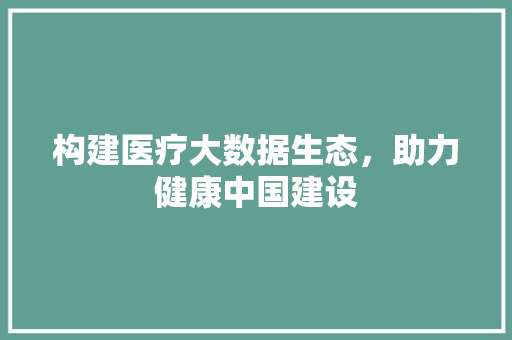 构建医疗大数据生态，助力健康中国建设 SEO教程