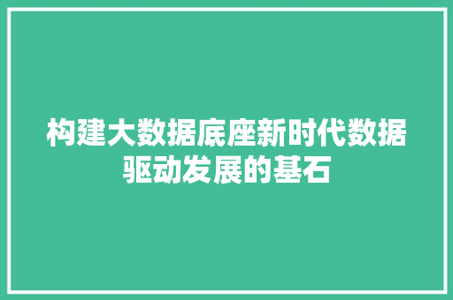 构建大数据底座新时代数据驱动发展的基石 WordPress教程