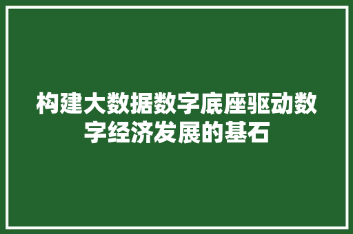 构建大数据数字底座驱动数字经济发展的基石 友链在线