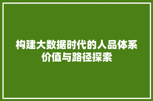 构建大数据时代的人品体系价值与路径探索