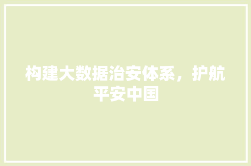 构建大数据治安体系，护航平安中国