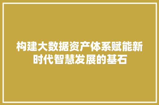 构建大数据资产体系赋能新时代智慧发展的基石