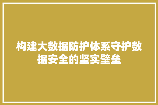 构建大数据防护体系守护数据安全的坚实壁垒