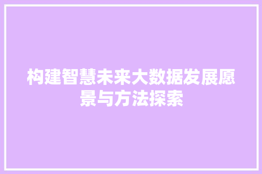 构建智慧未来大数据发展愿景与方法探索