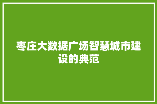 枣庄大数据广场智慧城市建设的典范