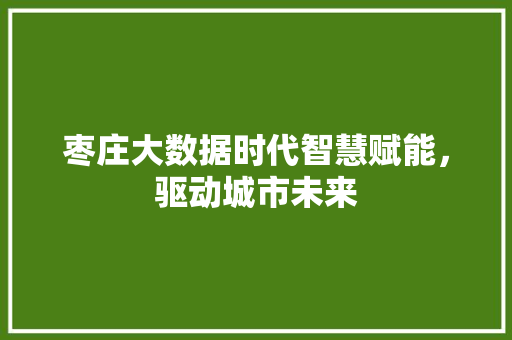枣庄大数据时代智慧赋能，驱动城市未来