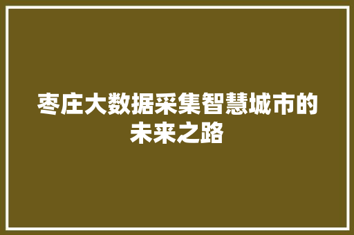 枣庄大数据采集智慧城市的未来之路