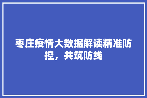 枣庄疫情大数据解读精准防控，共筑防线