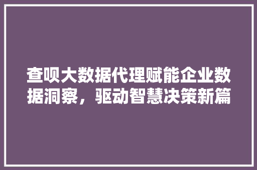 查呗大数据代理赋能企业数据洞察，驱动智慧决策新篇章