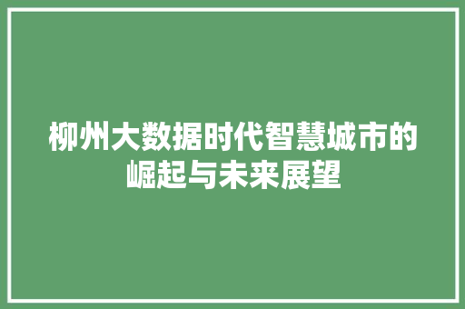 柳州大数据时代智慧城市的崛起与未来展望