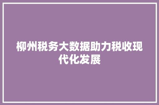 柳州税务大数据助力税收现代化发展 建站教程