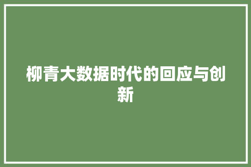 柳青大数据时代的回应与创新
