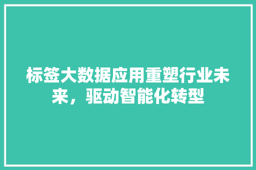 标签大数据应用重塑行业未来，驱动智能化转型