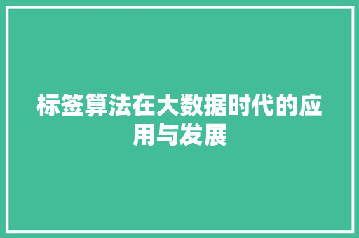 标签算法在大数据时代的应用与发展