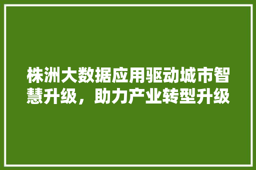 株洲大数据应用驱动城市智慧升级，助力产业转型升级 SEO教程