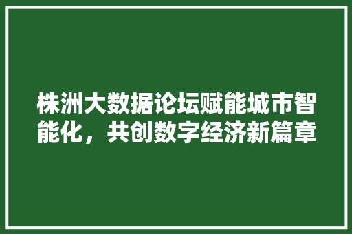 株洲大数据论坛赋能城市智能化，共创数字经济新篇章 服务器/数据库