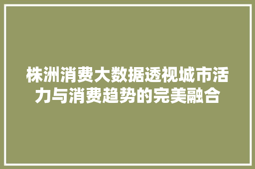 株洲消费大数据透视城市活力与消费趋势的完美融合 Web前端