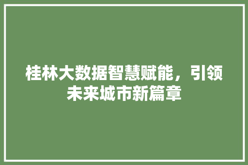 桂林大数据智慧赋能，引领未来城市新篇章 建站教程