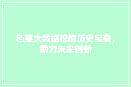 档案大数据挖掘历史宝藏，助力未来创新 建站教程