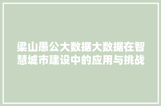 梁山愚公大数据大数据在智慧城市建设中的应用与挑战