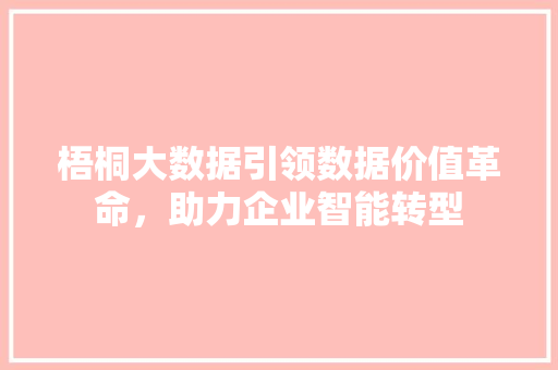 梧桐大数据引领数据价值革命，助力企业智能转型