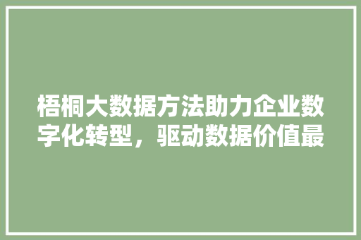 梧桐大数据方法助力企业数字化转型，驱动数据价值最大化