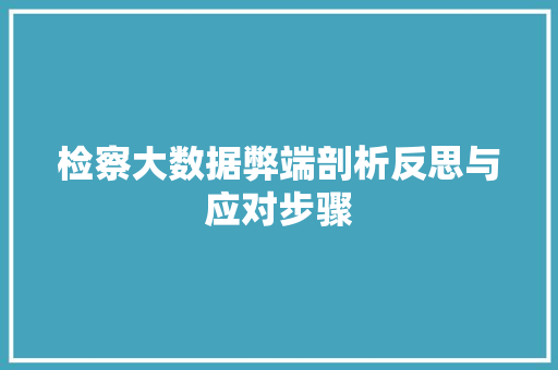 检察大数据弊端剖析反思与应对步骤
