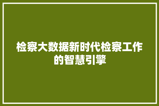 检察大数据新时代检察工作的智慧引擎