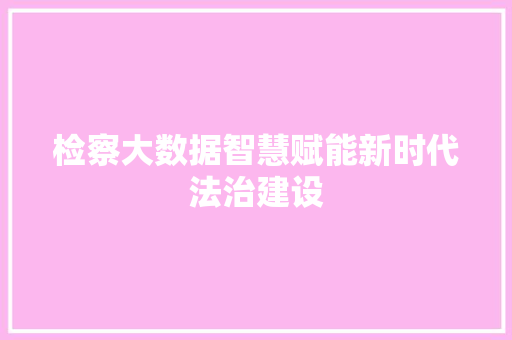 检察大数据智慧赋能新时代法治建设