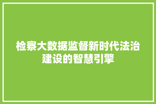 检察大数据监督新时代法治建设的智慧引擎 建站教程