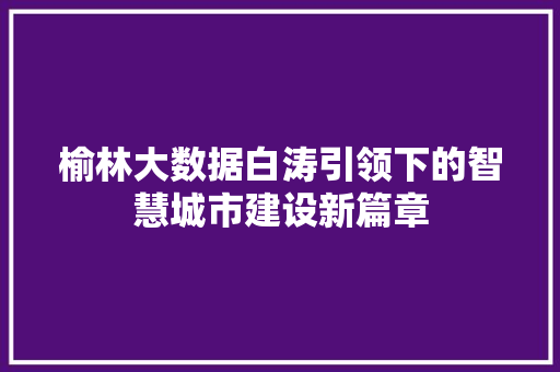 榆林大数据白涛引领下的智慧城市建设新篇章