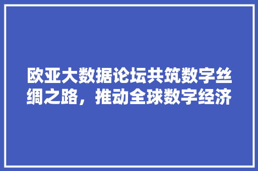 欧亚大数据论坛共筑数字丝绸之路，推动全球数字经济繁荣 WordPress教程