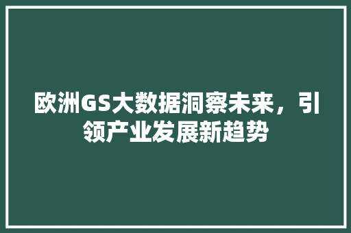 欧洲GS大数据洞察未来，引领产业发展新趋势 SEO教程