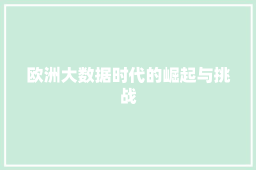 欧洲大数据时代的崛起与挑战 建站教程