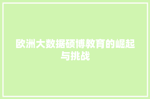 欧洲大数据硕博教育的崛起与挑战