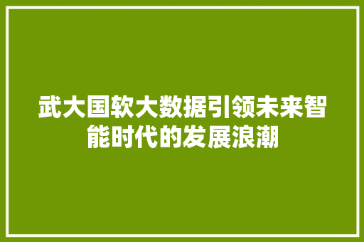 武大国软大数据引领未来智能时代的发展浪潮