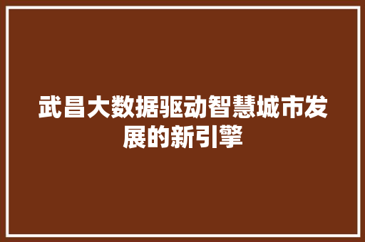 武昌大数据驱动智慧城市发展的新引擎