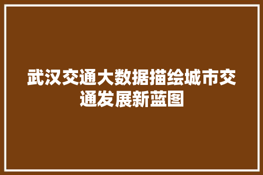 武汉交通大数据描绘城市交通发展新蓝图