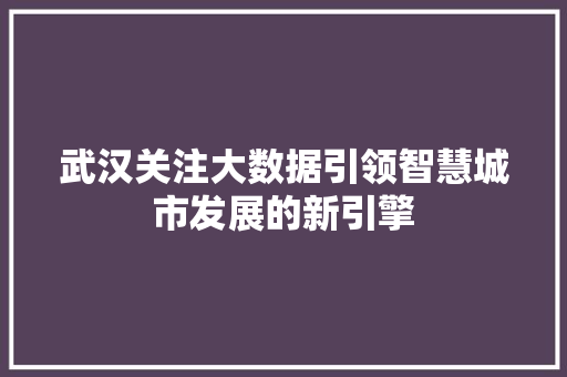 武汉关注大数据引领智慧城市发展的新引擎 SEO教程