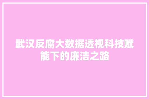 武汉反腐大数据透视科技赋能下的廉洁之路 服务器/数据库