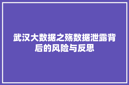 武汉大数据之殇数据泄露背后的风险与反思