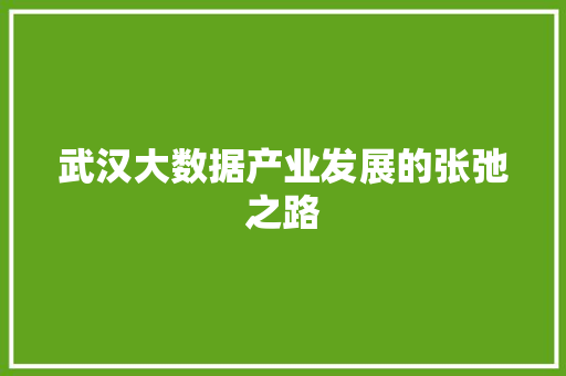 武汉大数据产业发展的张弛之路