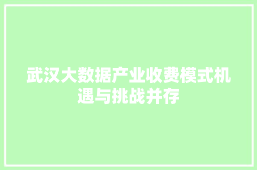 武汉大数据产业收费模式机遇与挑战并存
