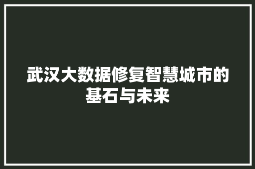 武汉大数据修复智慧城市的基石与未来