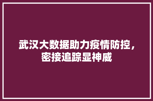 武汉大数据助力疫情防控，密接追踪显神威